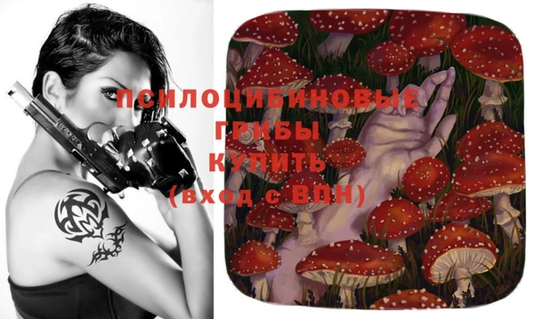 марихуана Абаза